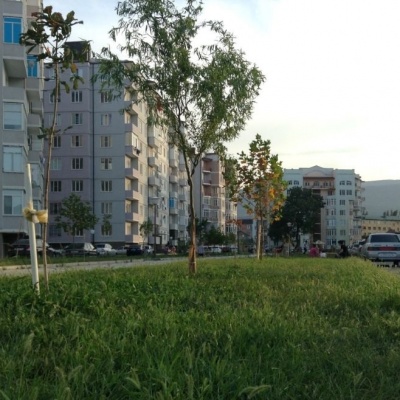 Жилой комплекс «Вузовское Озеро»